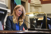 Senado: acá están, estas son todas las comisiones con todos sus integrantes