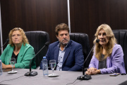 Radicalismo bonaerense: Unidad para el Comité, ¿unidad en la Legislatura?