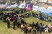 Morón: bronca en el gobierno de la provincia por el fallido plenario de Lucas Ghi