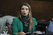 El Senado bonaerense aprobó una ley para prevenir incendios en rutas y zonas rurales