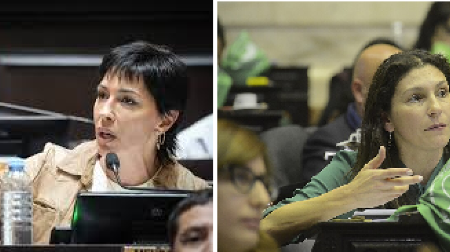 El kirchnerismo rechazó la aprobación de la baja de la edad de imputabilidad: “Agrava el problema”